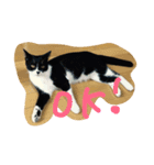 らむ太（個別スタンプ：1）