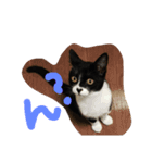 らむ太（個別スタンプ：2）