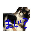 らむ太（個別スタンプ：5）