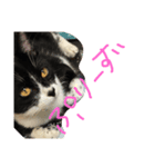 らむ太（個別スタンプ：7）