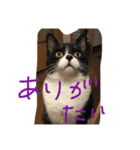 らむ太（個別スタンプ：8）