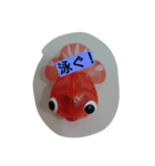 baths（個別スタンプ：2）
