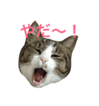 おじぷさんファミリー（個別スタンプ：1）