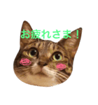 おじぷさんファミリー（個別スタンプ：3）