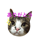 おじぷさんファミリー（個別スタンプ：4）