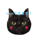 おじぷさんファミリー（個別スタンプ：5）