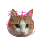 おじぷさんファミリー（個別スタンプ：6）