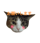 おじぷさんファミリー（個別スタンプ：10）