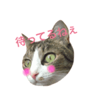 おじぷさんファミリー（個別スタンプ：12）