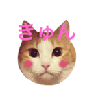 おじぷさんファミリー（個別スタンプ：13）