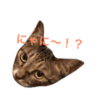 おじぷさんファミリー（個別スタンプ：14）