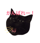 おじぷさんファミリー（個別スタンプ：15）