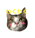 おじぷさんファミリー（個別スタンプ：16）