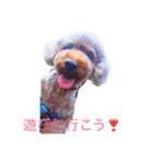毎日楽しい（個別スタンプ：1）