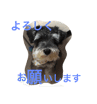 小太郎と龍（個別スタンプ：4）