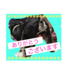 小太郎と龍（個別スタンプ：6）