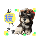小太郎と龍（個別スタンプ：8）