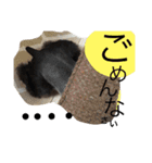 小太郎と龍（個別スタンプ：9）