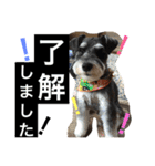 小太郎と龍（個別スタンプ：12）