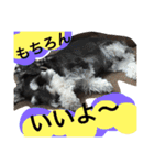 小太郎と龍（個別スタンプ：25）