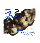 小太郎と龍（個別スタンプ：33）