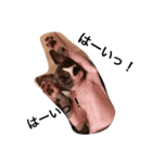 Nana sphinx Pt.3（個別スタンプ：3）