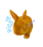 さちまるくんの1日（個別スタンプ：1）