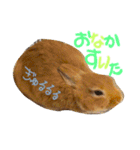 さちまるくんの1日（個別スタンプ：4）