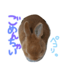 さちまるくんの1日（個別スタンプ：5）