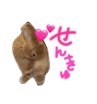 さちまるくんの1日（個別スタンプ：6）