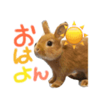 さちまるくんの1日（個別スタンプ：7）