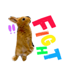 さちまるくんの1日（個別スタンプ：8）