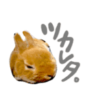 さちまるくんの1日（個別スタンプ：9）