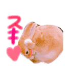 さちまるくんの1日（個別スタンプ：10）