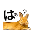 さちまるくんの1日（個別スタンプ：12）