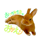 さちまるくんの1日（個別スタンプ：13）
