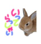さちまるくんの1日（個別スタンプ：14）