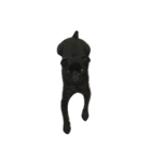 blackpug bubu（個別スタンプ：7）