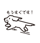 ALZA of DOG（個別スタンプ：12）