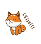 Little Shiba（個別スタンプ：3）