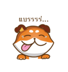 Little Shiba（個別スタンプ：7）