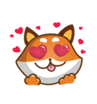 Little Shiba（個別スタンプ：8）