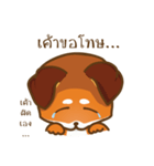 Little Shiba（個別スタンプ：11）