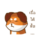 Little Shiba（個別スタンプ：12）