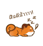 Little Shiba（個別スタンプ：13）