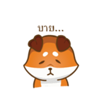 Little Shiba（個別スタンプ：15）