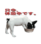 フレンチブルドッグのモモ【敬語】（個別スタンプ：23）