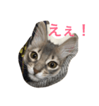 シトリン2（個別スタンプ：1）