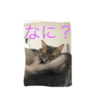 シトリン2（個別スタンプ：5）