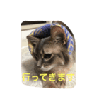 シトリン2（個別スタンプ：7）